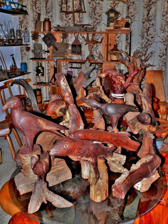 Pensjonat Casa Guinea Jerez de la Jerez de la Frontera Zewnętrze zdjęcie